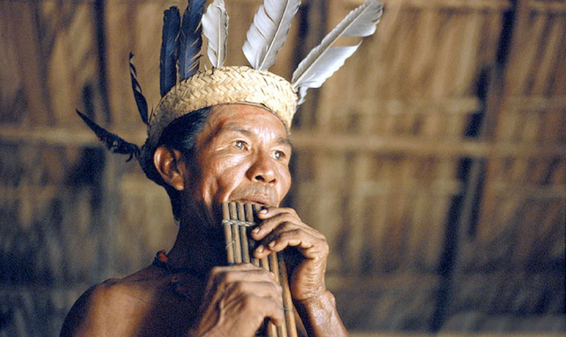 Tariana man, Brazil