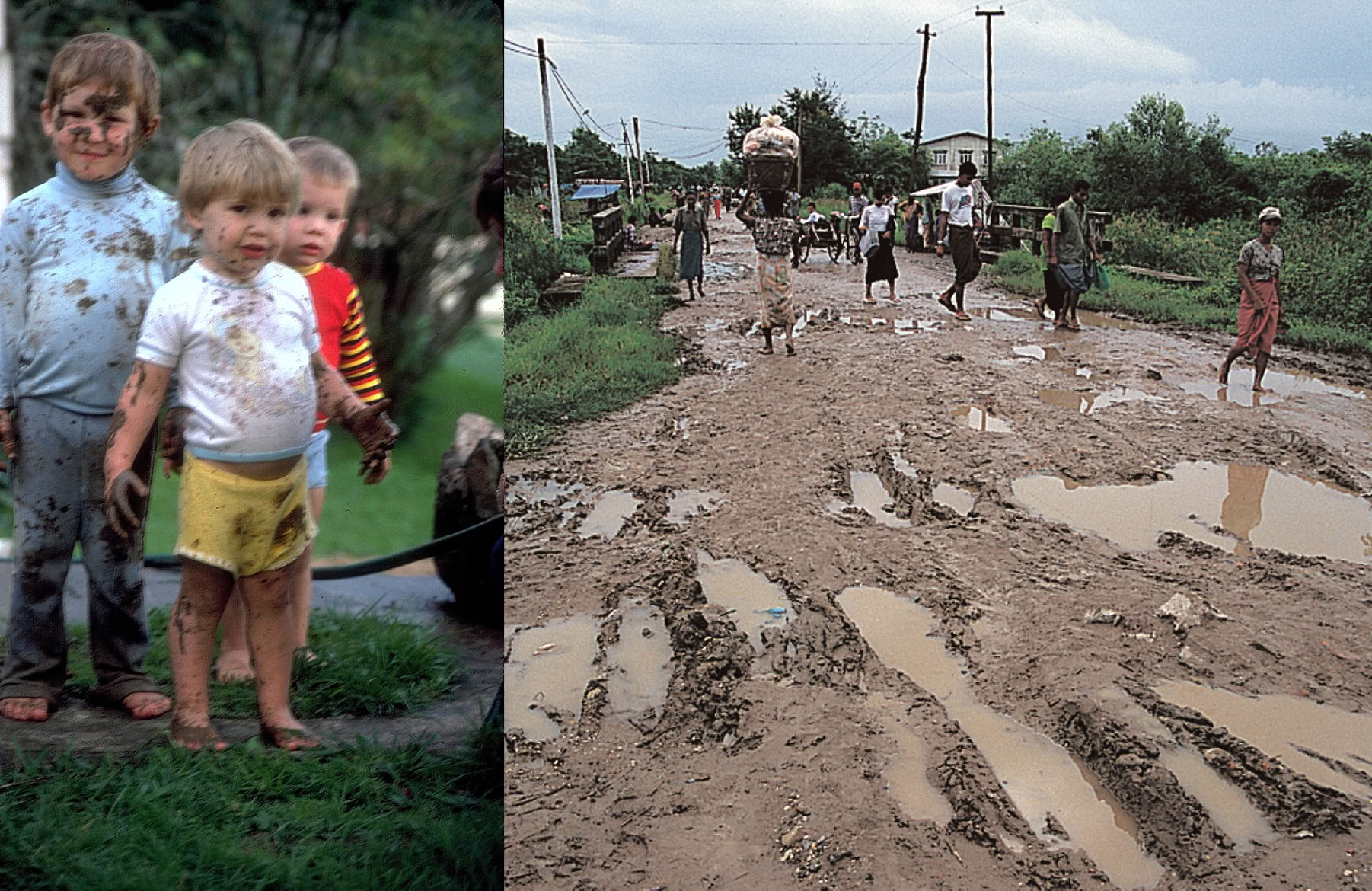 Stock photo by Vecteezy