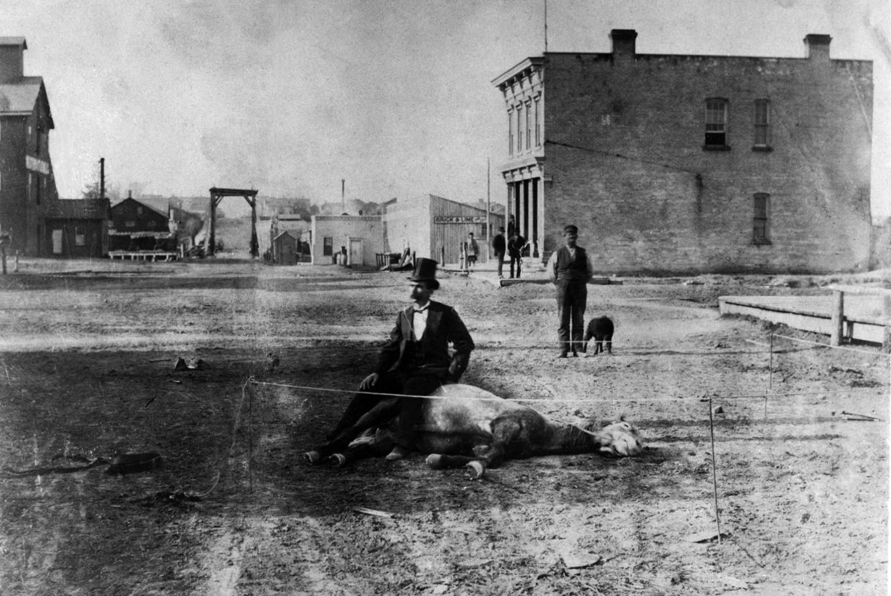 A man is sitting on a dead horse in South 8th Street, Sheboygan, Wisconsin (USA) in the 1870s.  Public doman from Wikimedia.