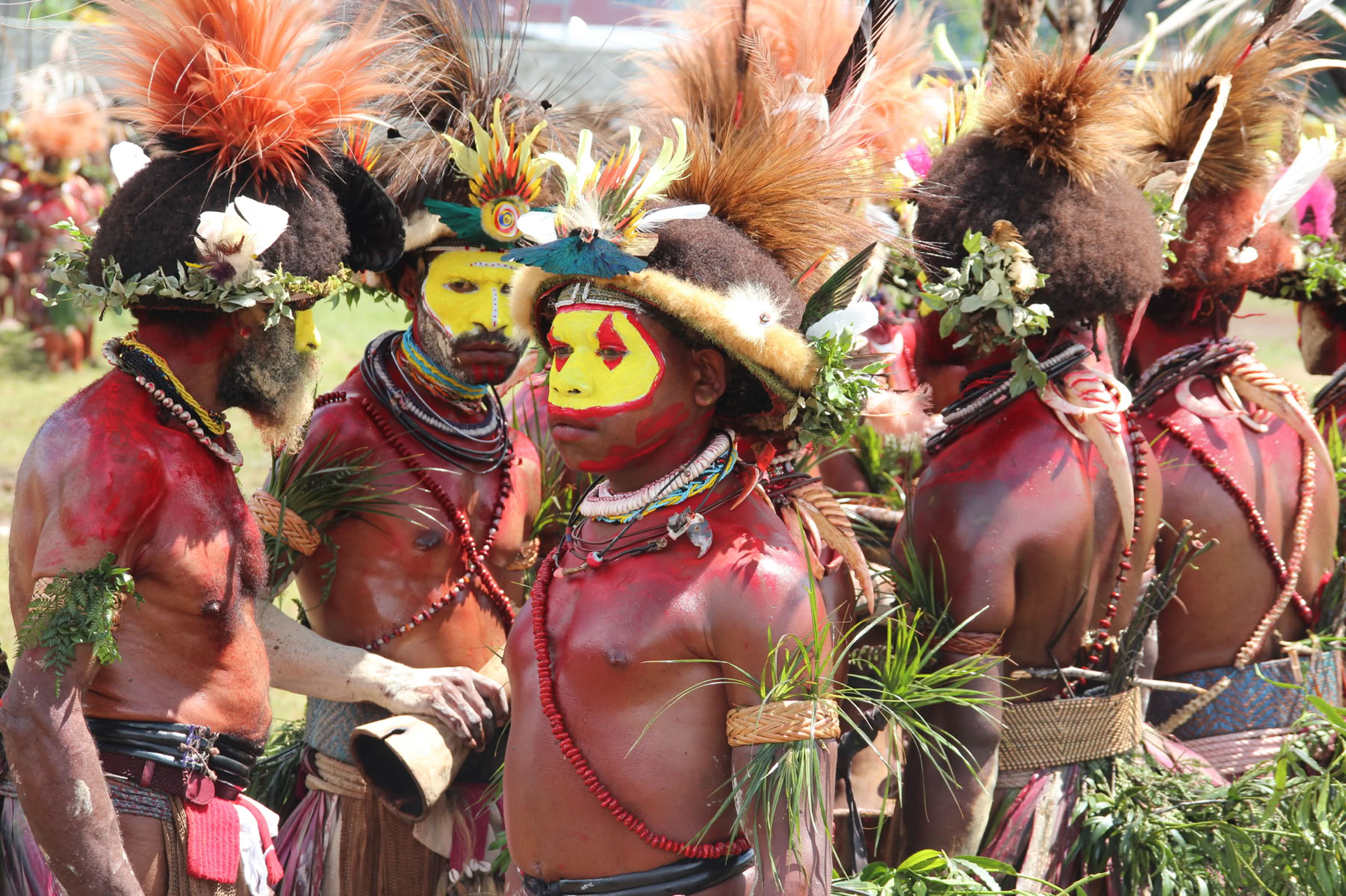 Enga Cultural Festival sing-sing in Wabag, Papua New Guinea.  Photo by Stephen Codrington