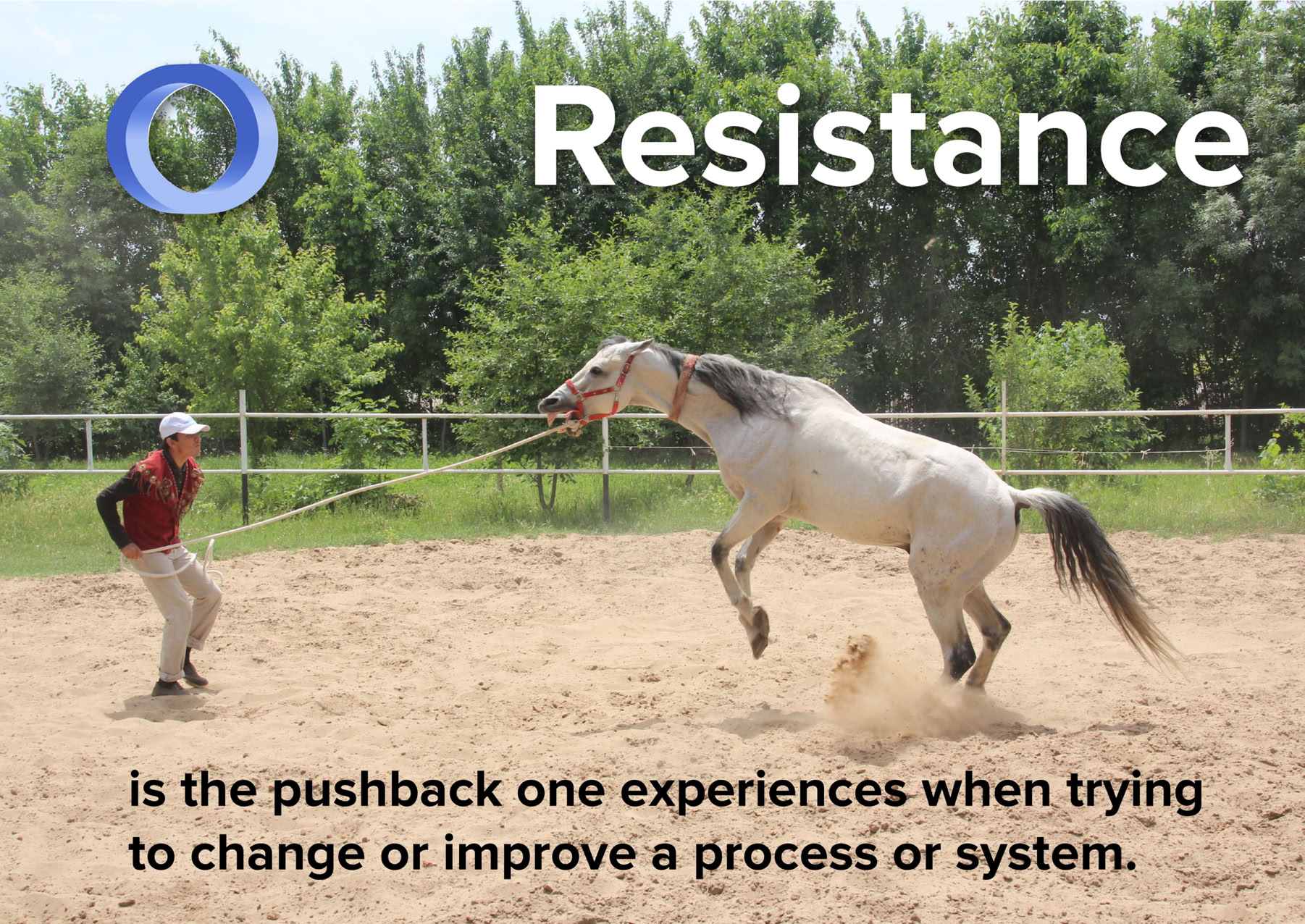 Illustration of resistance based on a photo of a horse in Turkmenistan