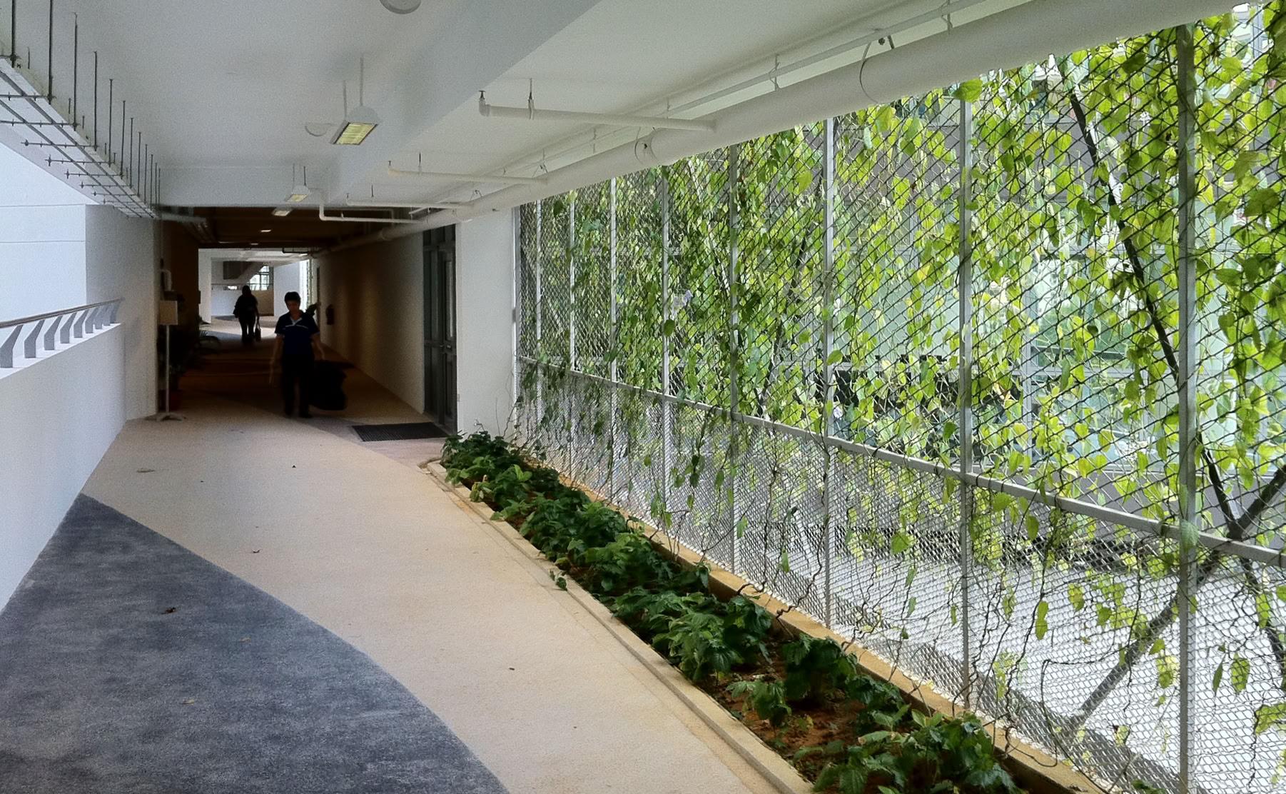 An example of a 'green school' - United World College of South-East Asia (UWCSEA), East Campus.