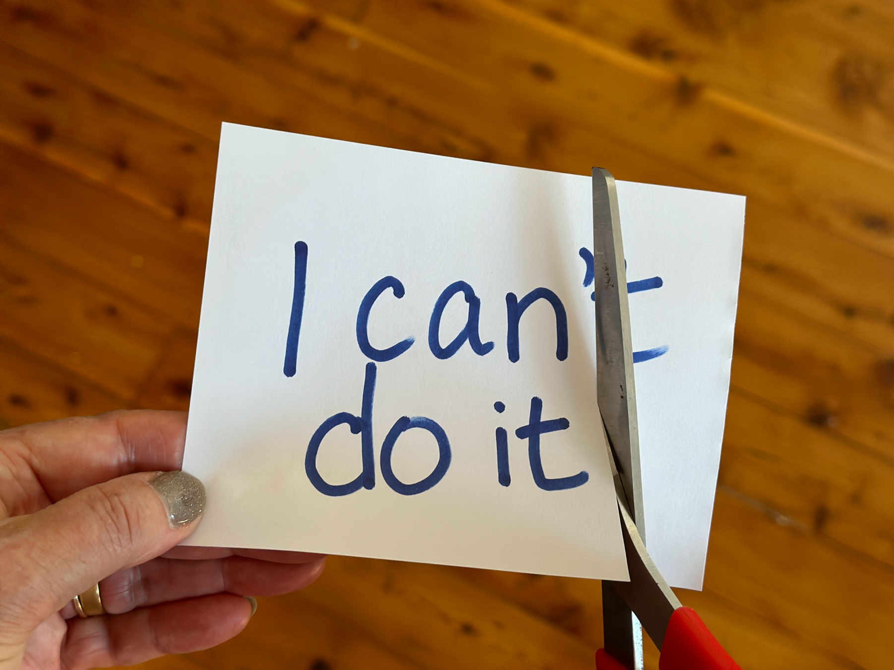 I can / can't do it.