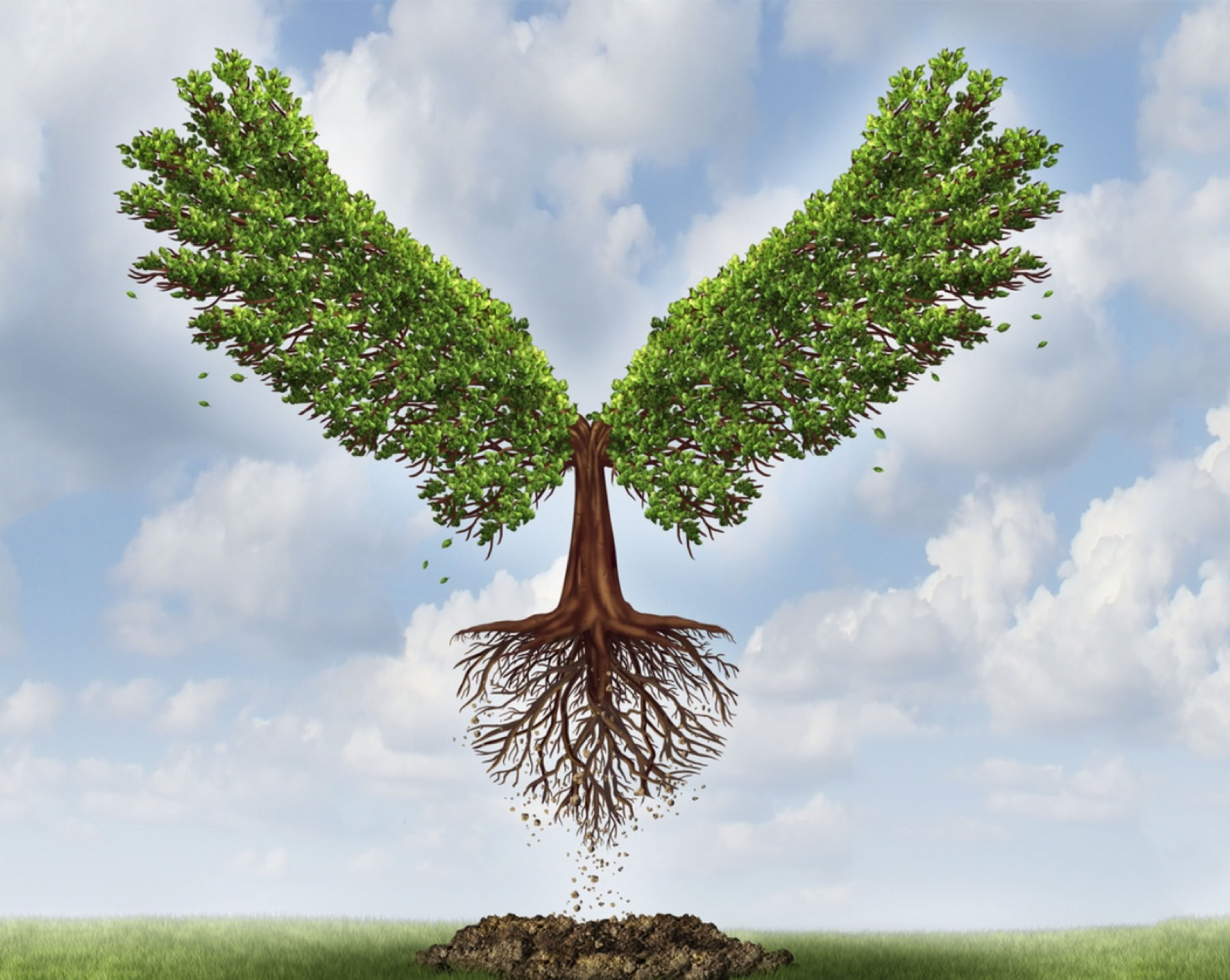 Image used with the kind permission of MTEI, https://www.blogmtei.in/